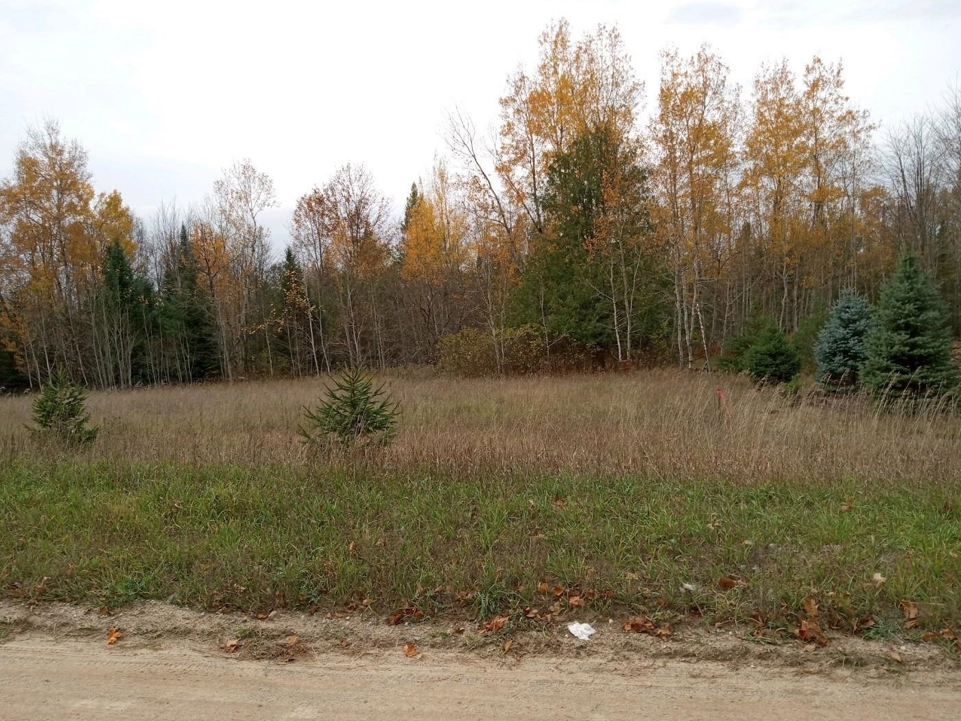 0 Bennett Road, Unit PARCEL B1 Williamsburg, MI 49690 - Photo 1 of 7
