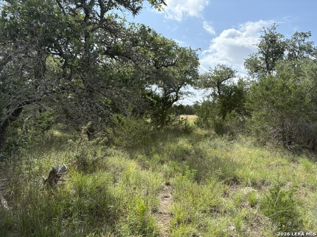 351 Ridge Point Spring Branch, TX 78070 - Photo 5 of 34