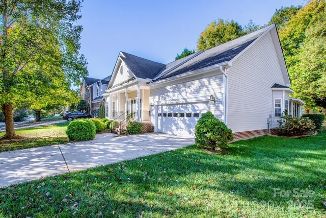 a view of a backyard with plants and a garden