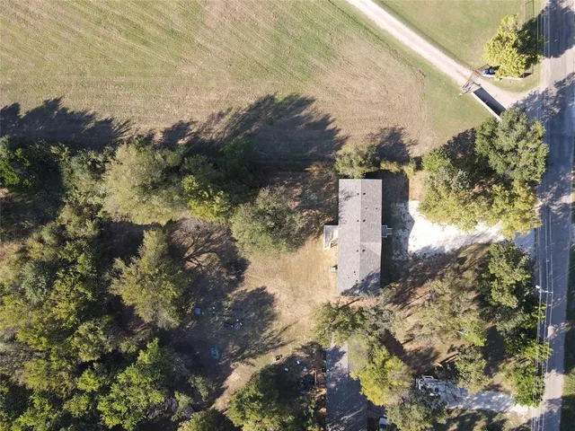 a view of a yard with plants and large trees