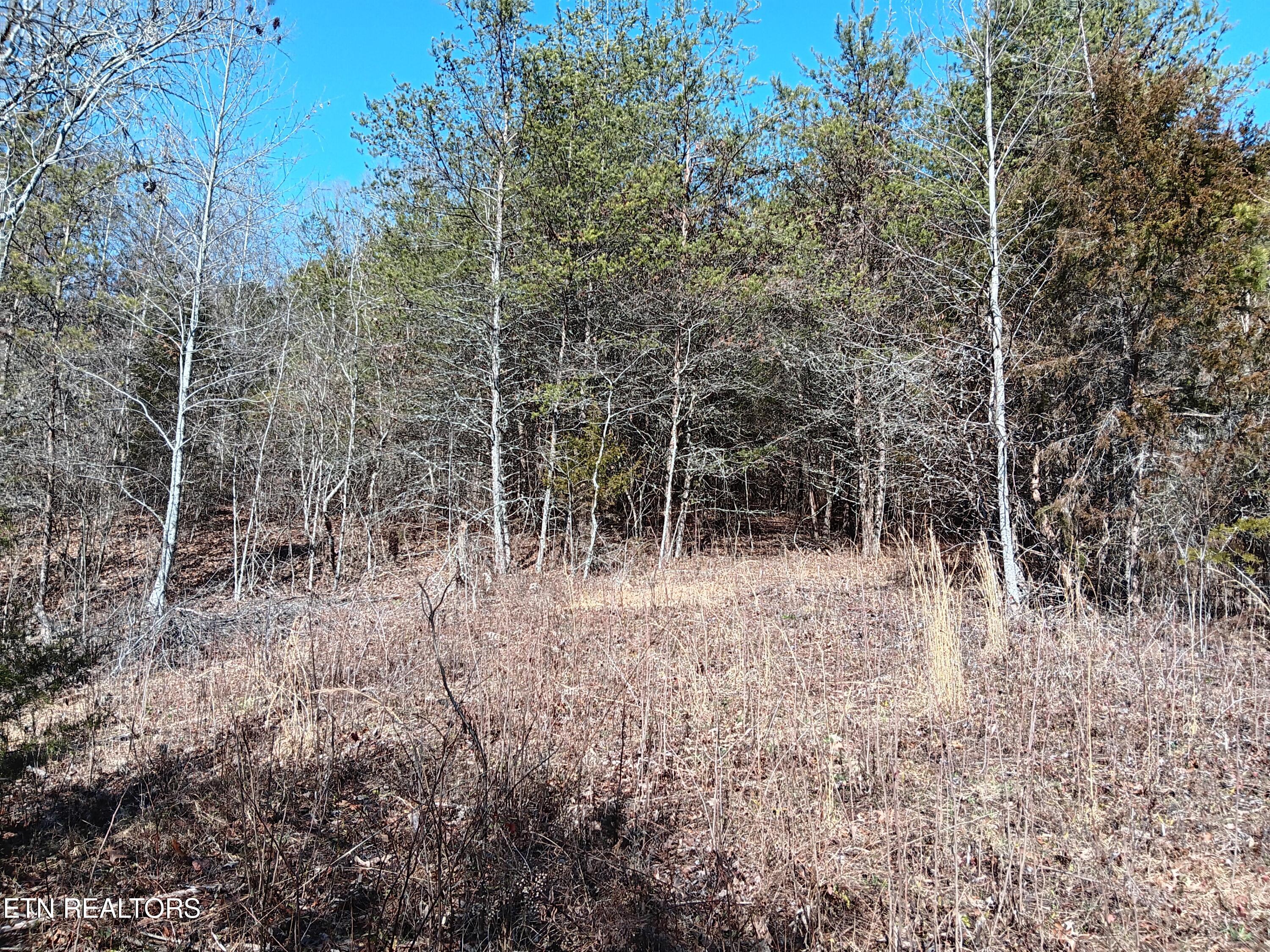 0 Cracker Neck Road Washburn, TN 37888 - Photo 5 of 19 20240225_104110 (1)