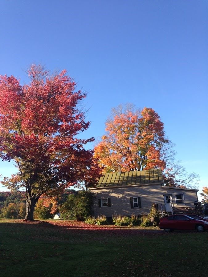 1413 Main Street Sheldon, VT 05483 - Photo 22 of 24