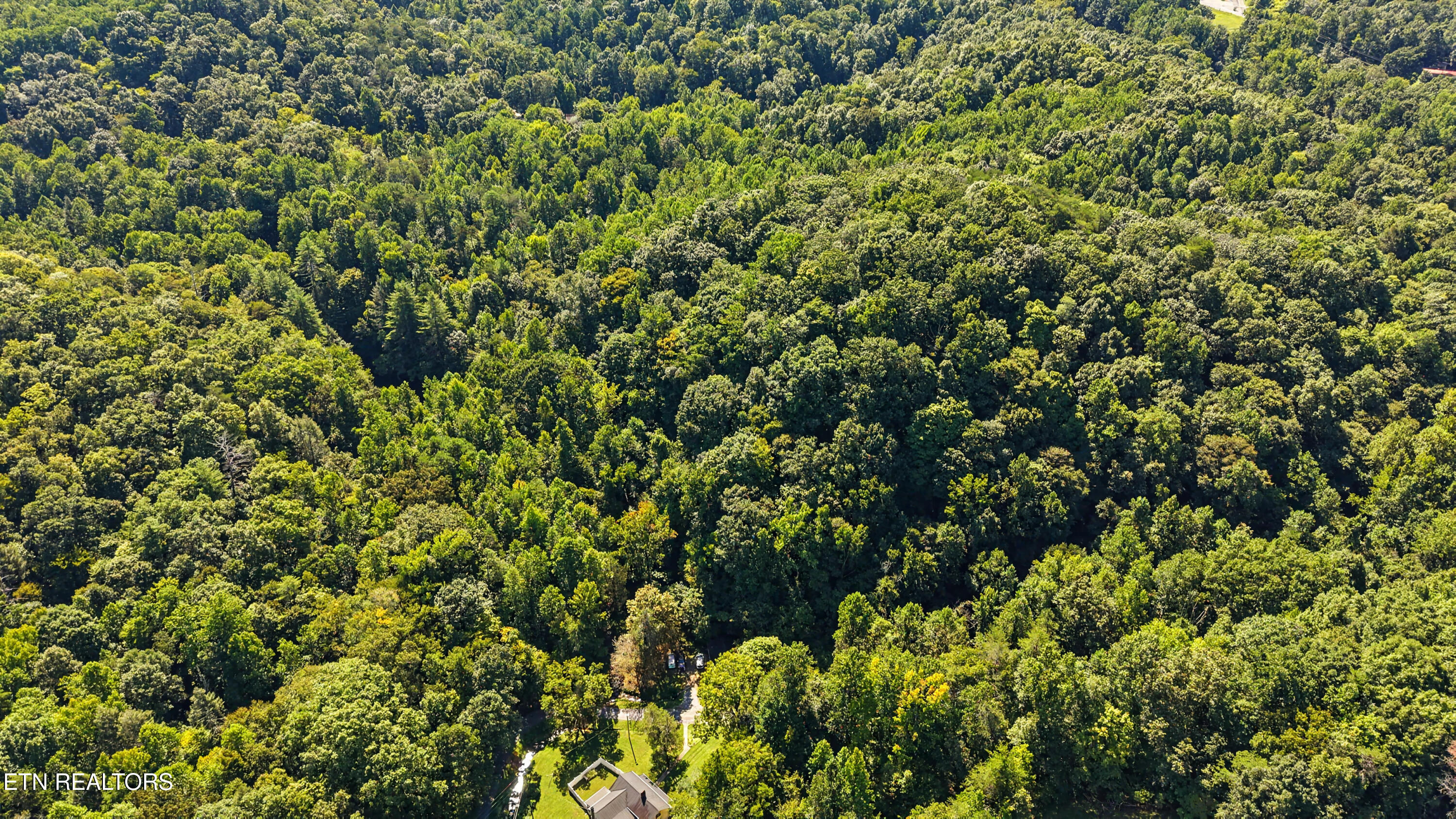 Tract 2-r-3 Cold Springs Road Walland, TN 37886 - Photo 16 of 17 DJI_20260824112828_0172_D-2