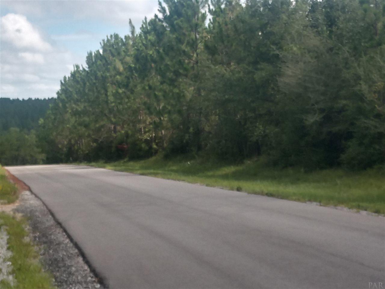 8000 Jerkins Road Century, FL 32535 - Photo 8 of 11