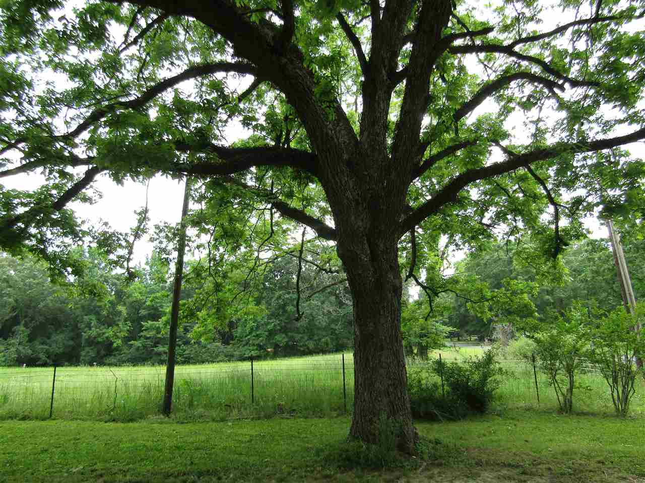 1484 Fairchild Road Raymond, MS 39154 - Photo 19 of 19 Photo 19