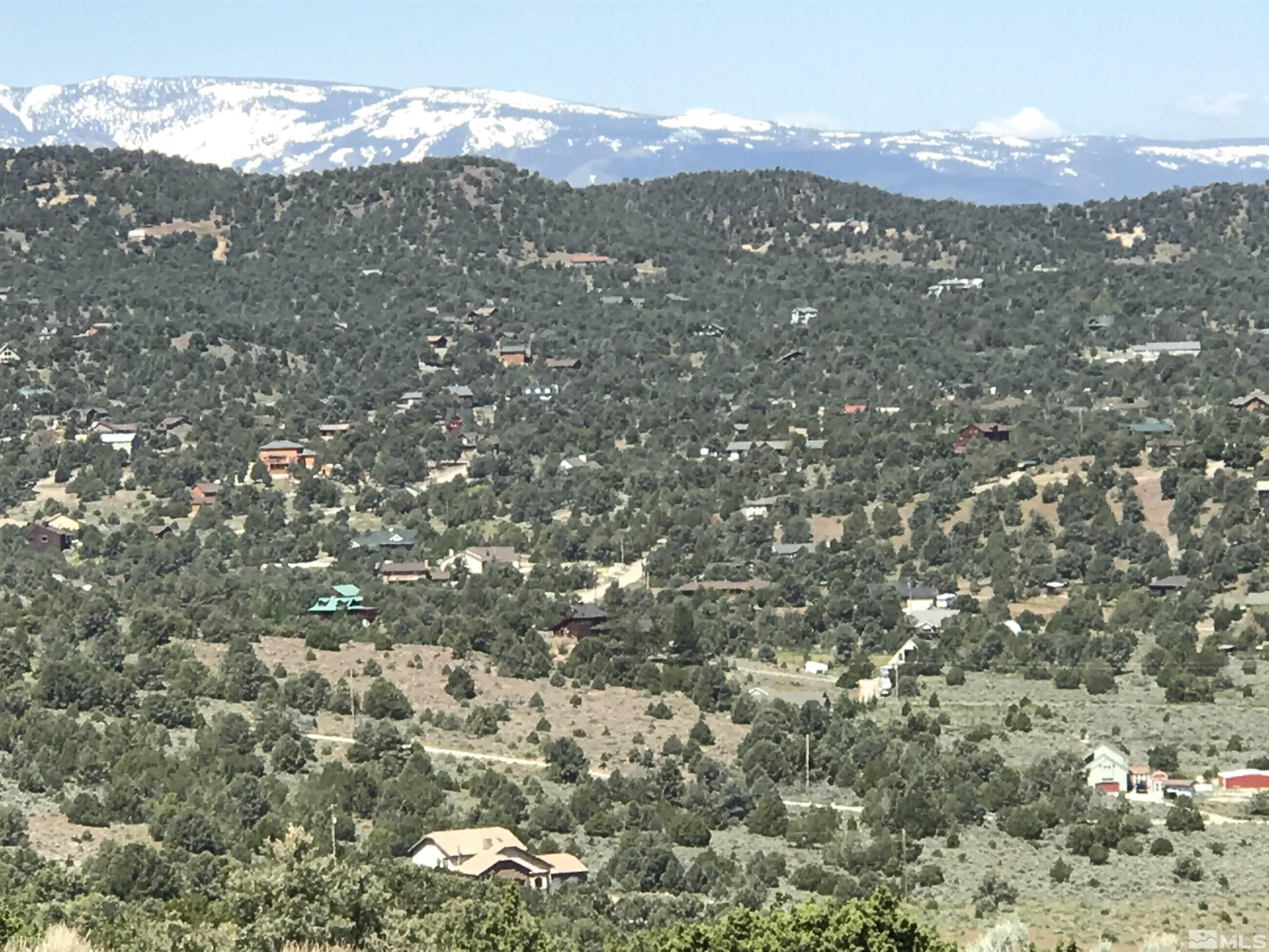 3700 Palisade Road Reno, NV 89521 - Photo 11 of 14 Photo 11