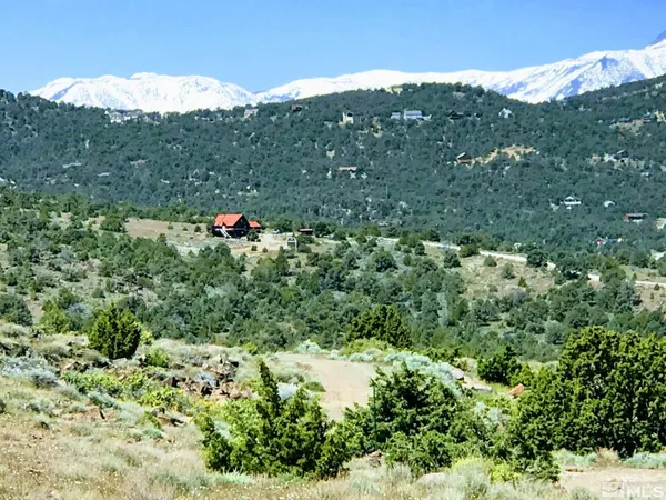 a close up of a plant