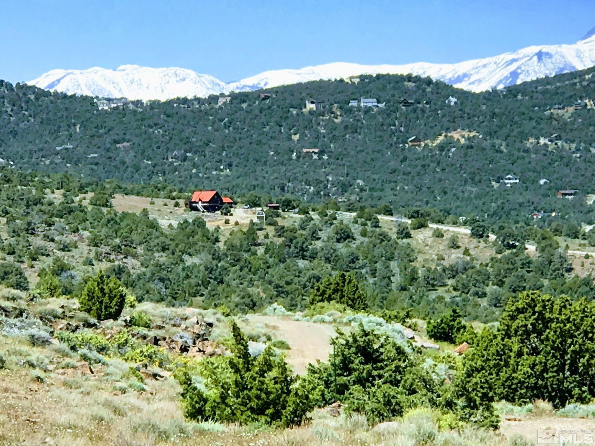 3700 Palisade Road Reno, NV 89521 - Photo 13 of 14 Photo 13