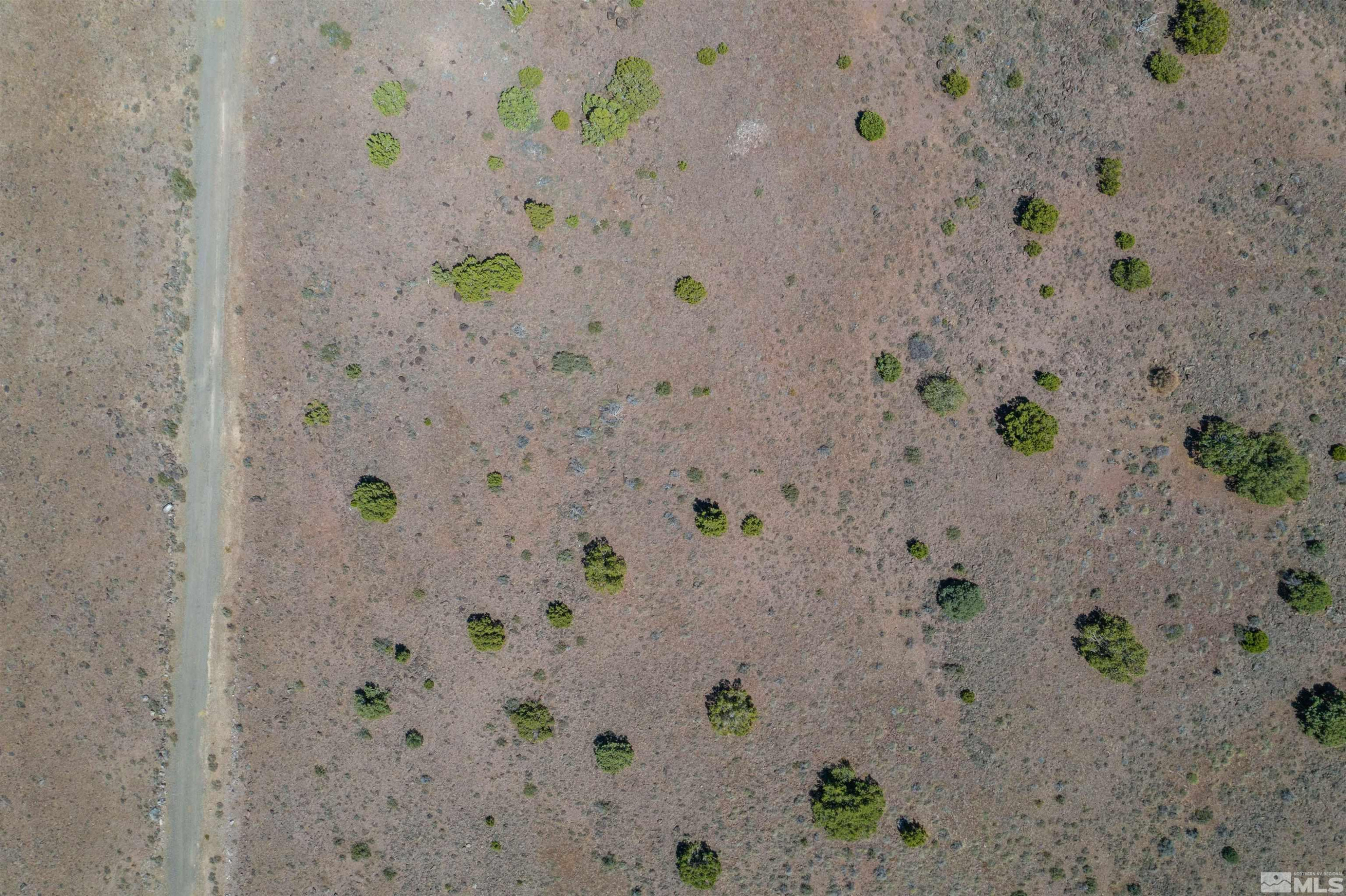 3700 Palisade Road Reno, NV 89521 - Photo 14 of 14 Photo 14