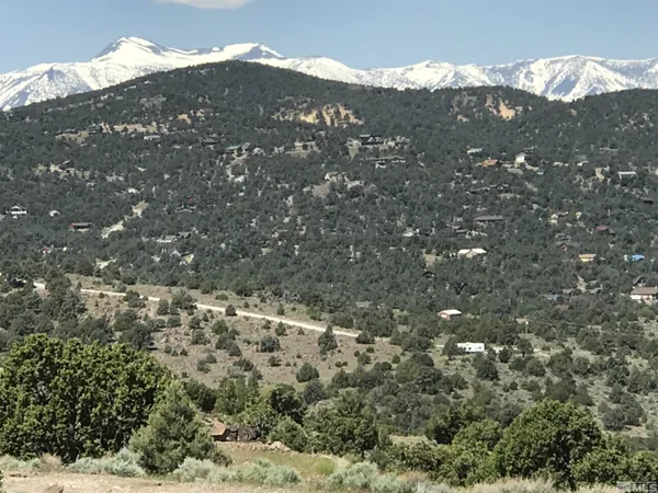 a bathroom with a shower curtain and cabinets