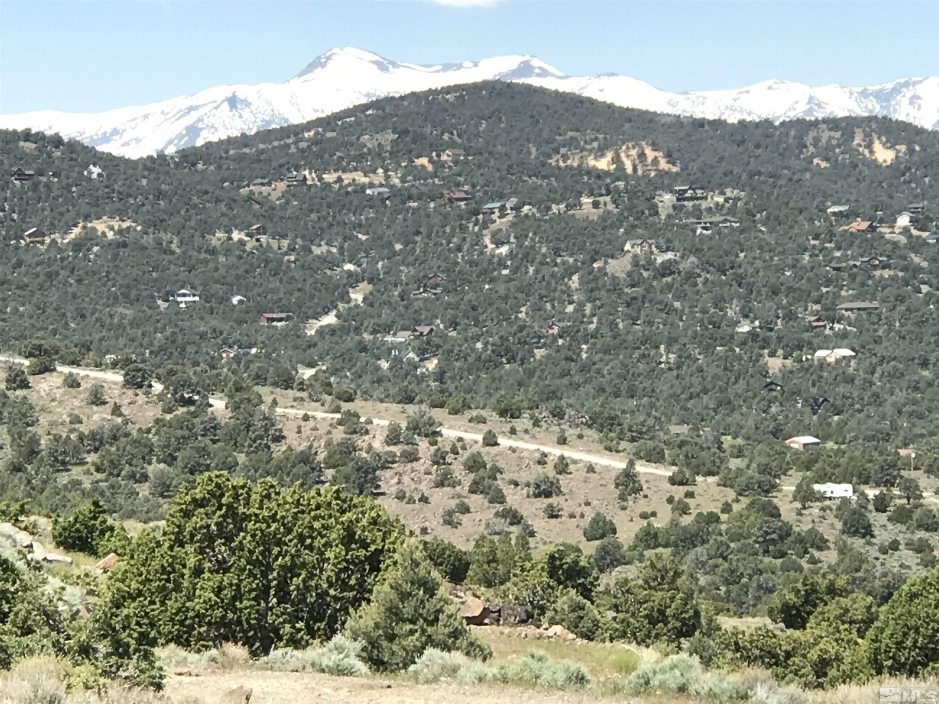 3700 Palisade Road Reno, NV 89521 - Photo 10 of 14 Photo 10