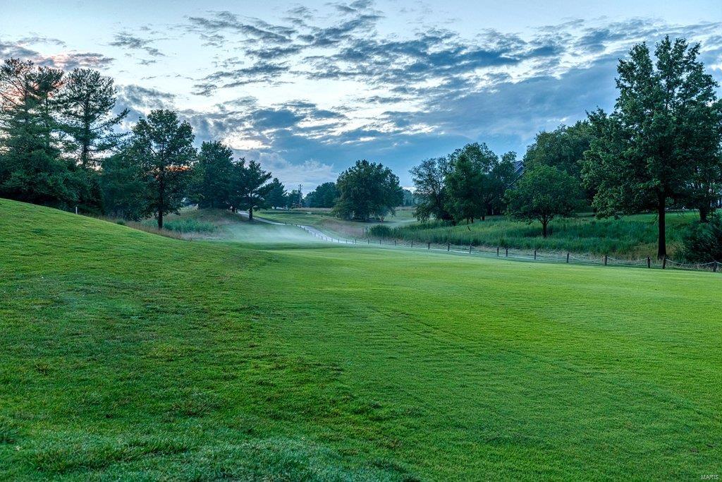 1226 Grey Fox Run Weldon Spring, MO 63304 - Photo 11 of 59 Gallery Image 11