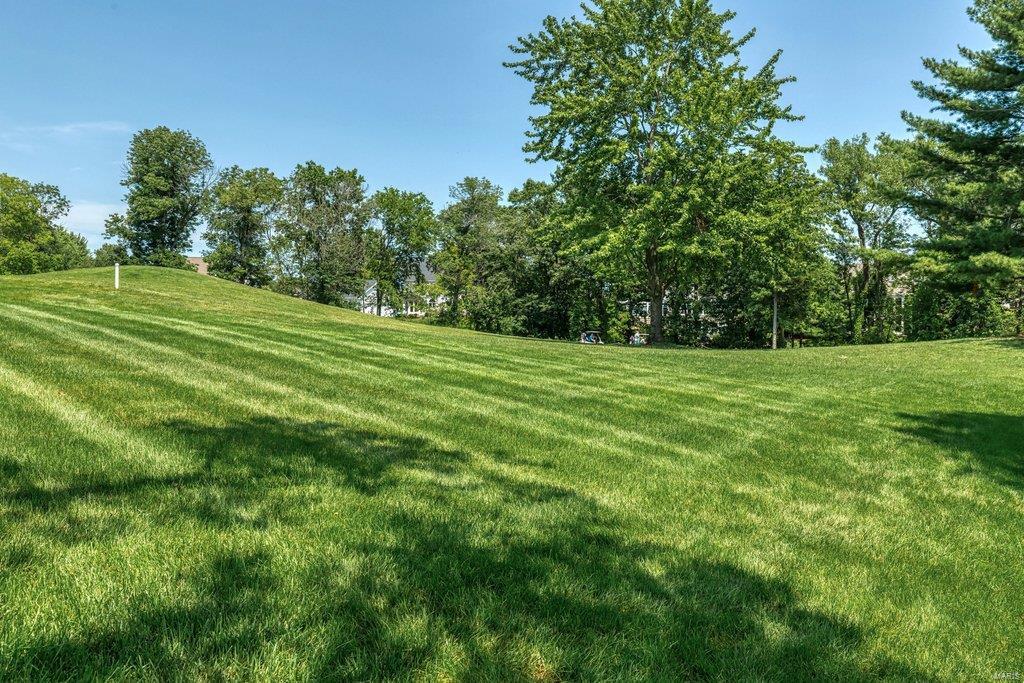 1226 Grey Fox Run Weldon Spring, MO 63304 - Photo 58 of 59 Gallery Image 58