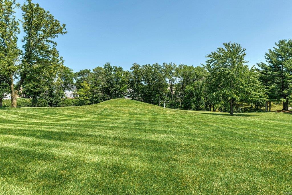 1226 Grey Fox Run Weldon Spring, MO 63304 - Photo 9 of 59 Gallery Image 9