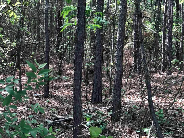$75,000 | Tbd Tbd Fm-1793, Marshall, TX 75672