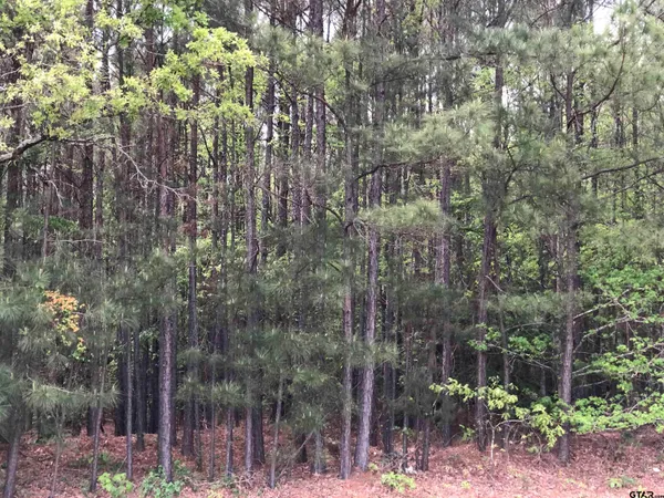 $75,000 | Tbd Tbd Fm-1793, Marshall, TX 75672