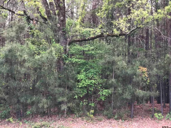 $75,000 | Tbd Tbd Fm-1793, Marshall, TX 75672