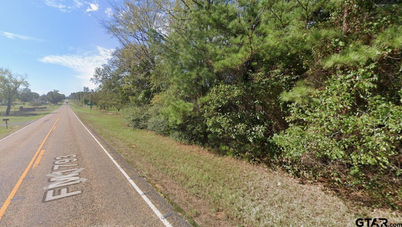 1793 Fm Marshall, TX 75672 - Photo 5 of 14 a view of a forest with skyline