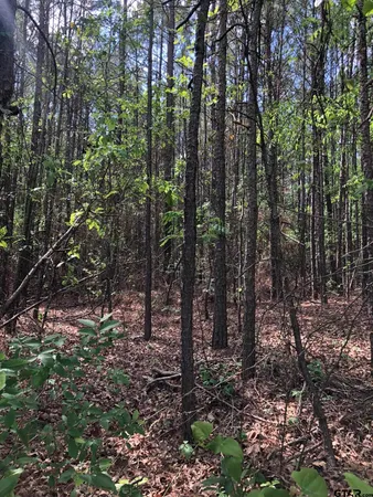 $75,000 | Tbd Tbd Fm-1793, Marshall, TX 75672
