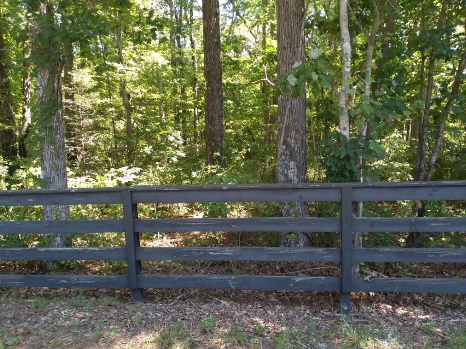 0 Henson Gap Road Dunlap, TN 37327 - Photo 2 of 4 Resized_20240820_125702