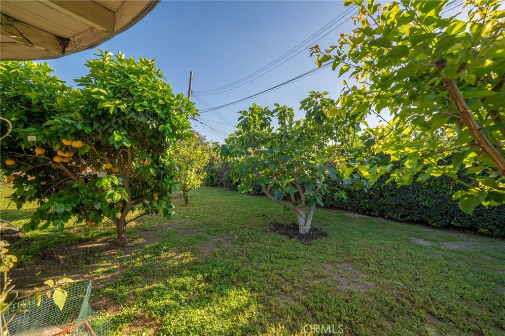 211 Benicia Road Diamond Bar, CA 91765 - Photo 19 of 24 a backyard of a house with lots of green space