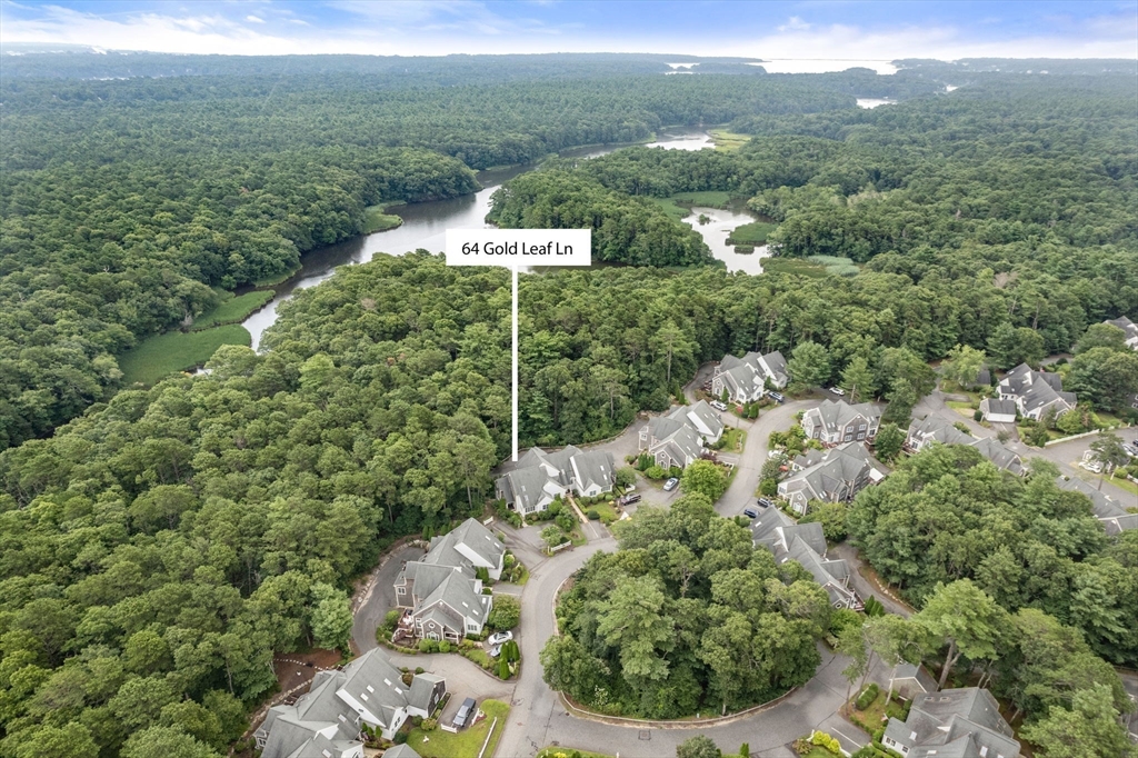 64 Gold Leaf Lane, Unit 64 Mashpee, MA 02649 - Photo 36 of 38 a view of a forest with a houses
