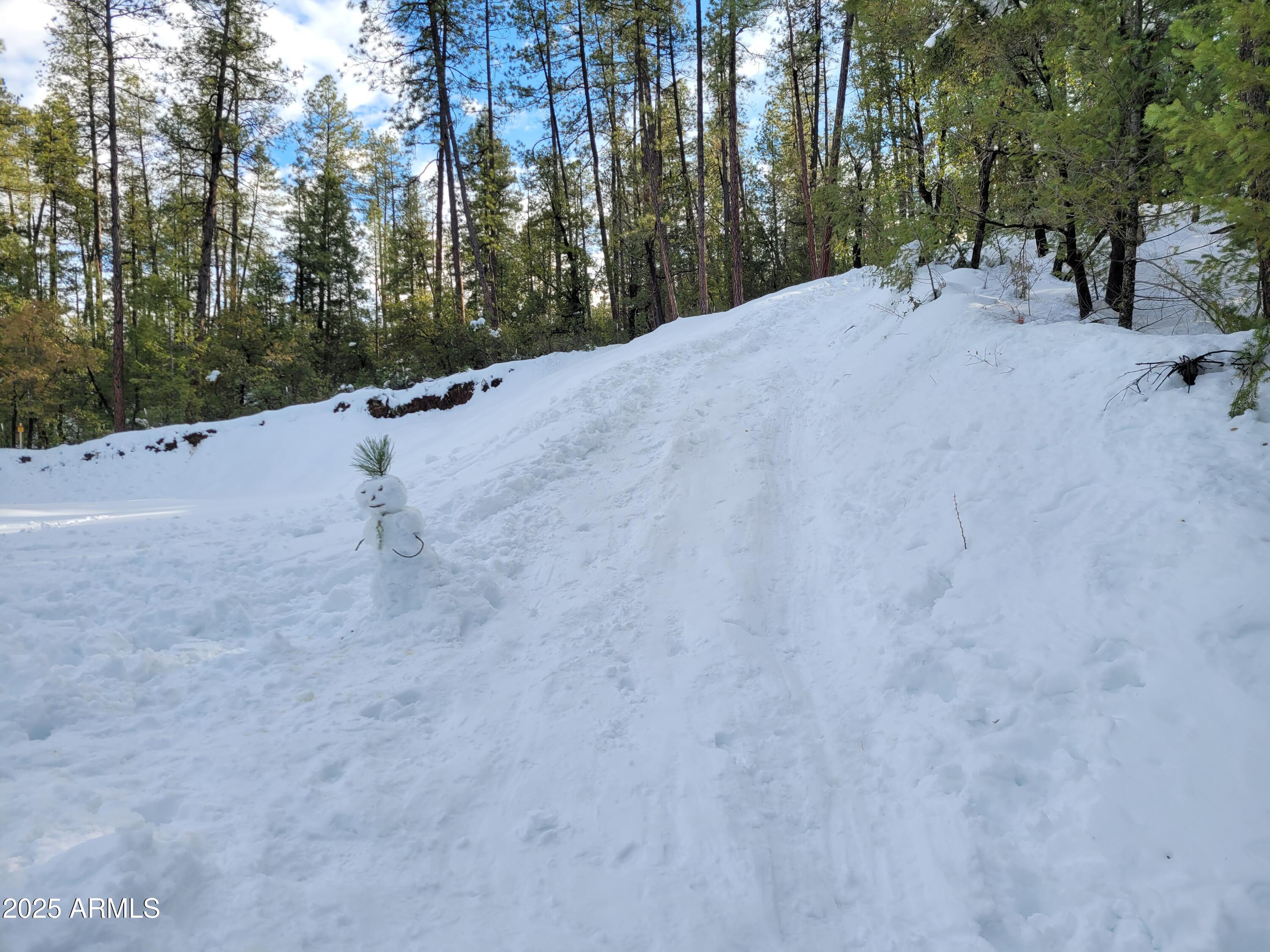 8 Rose Crk Ranch, Unit 8 Young, AZ 85554 - Photo 12 of 55 a view of a road with trees in the background