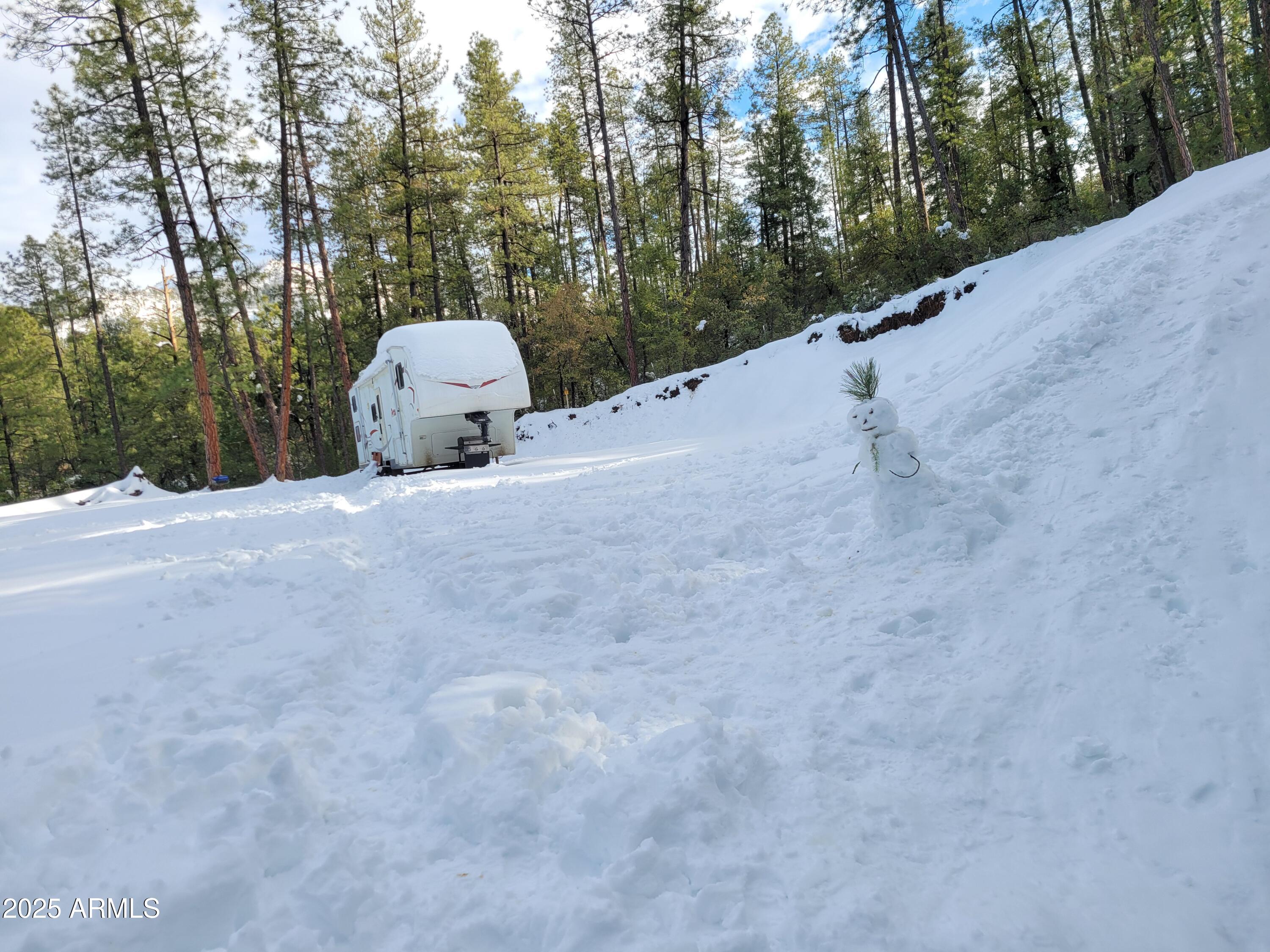 8 Rose Crk Ranch, Unit 8 Young, AZ 85554 - Photo 13 of 55 Mountain Views