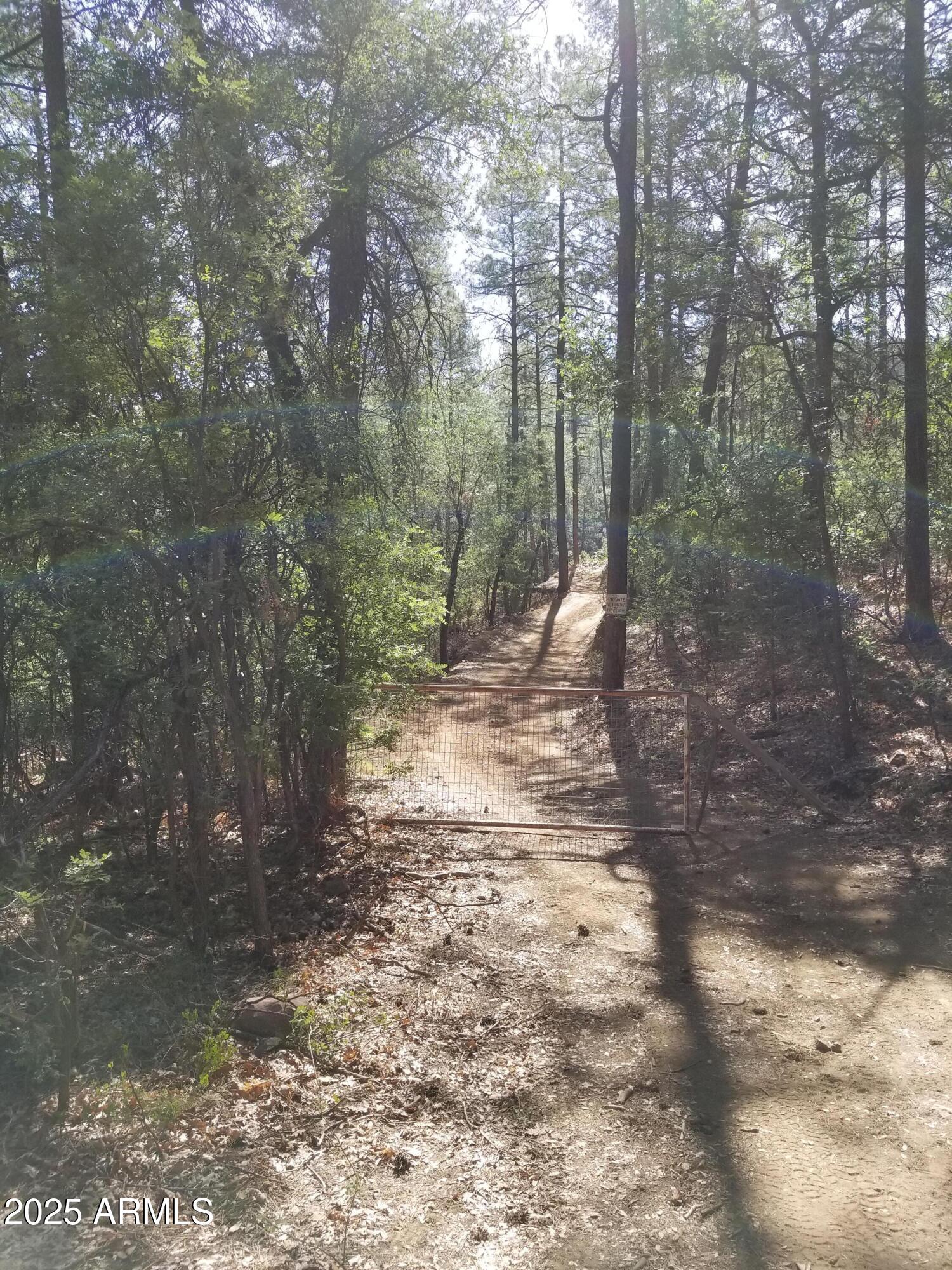 8 Rose Crk Ranch, Unit 8 Young, AZ 85554 - Photo 14 of 55 a view of a forest with trees