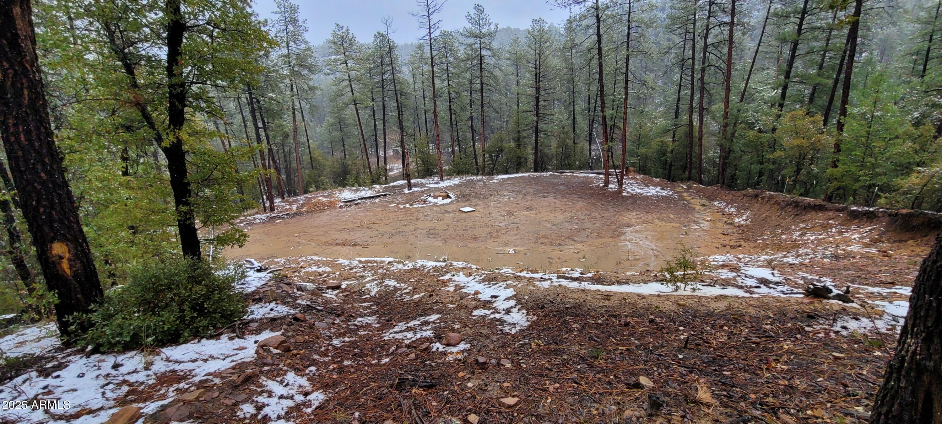 8 Rose Crk Ranch, Unit 8 Young, AZ 85554 - Photo 15 of 55 a view of a forest with trees in the background