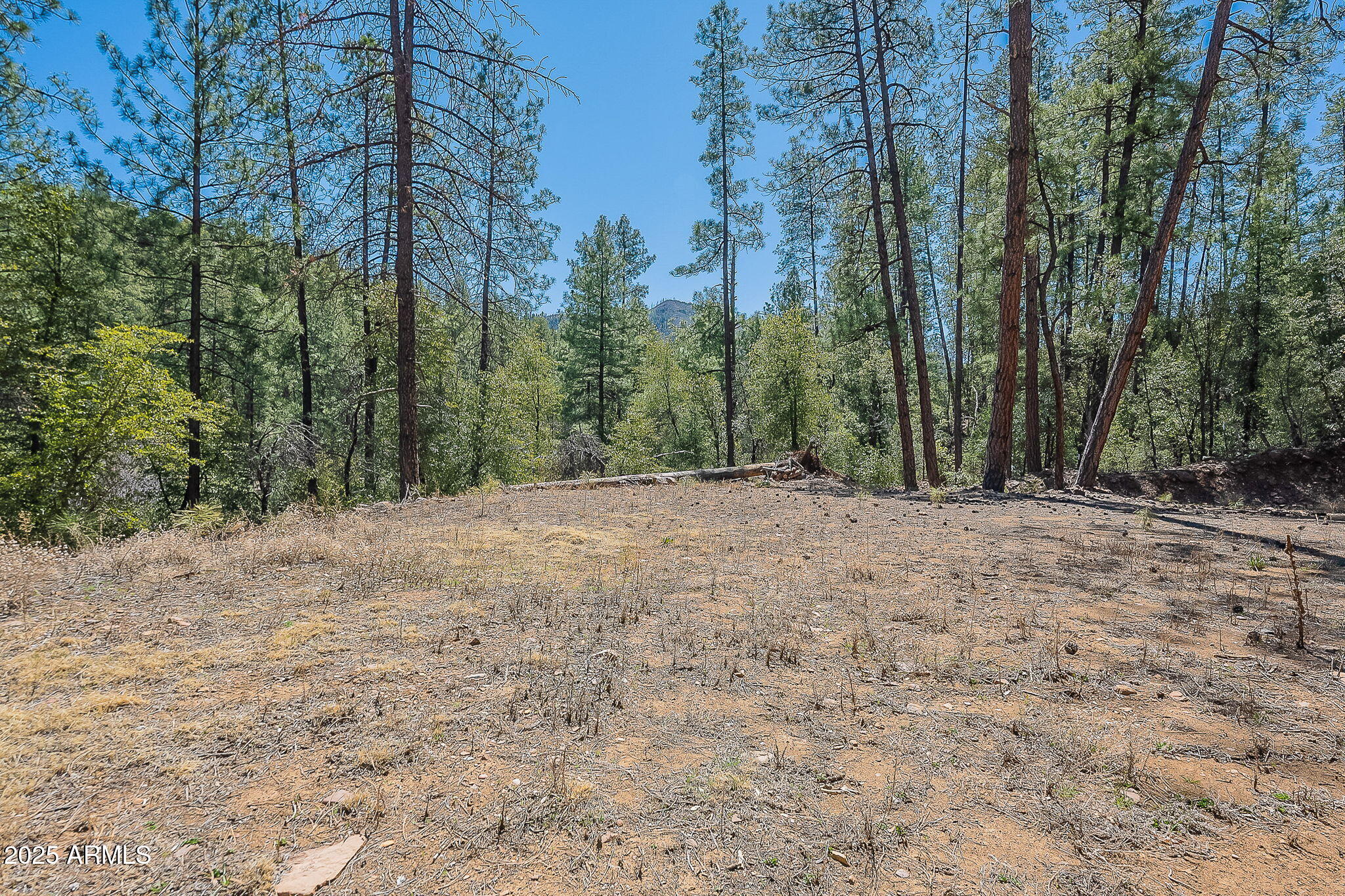 8 Rose Crk Ranch, Unit 8 Young, AZ 85554 - Photo 20 of 55 a view of outdoor space with trees