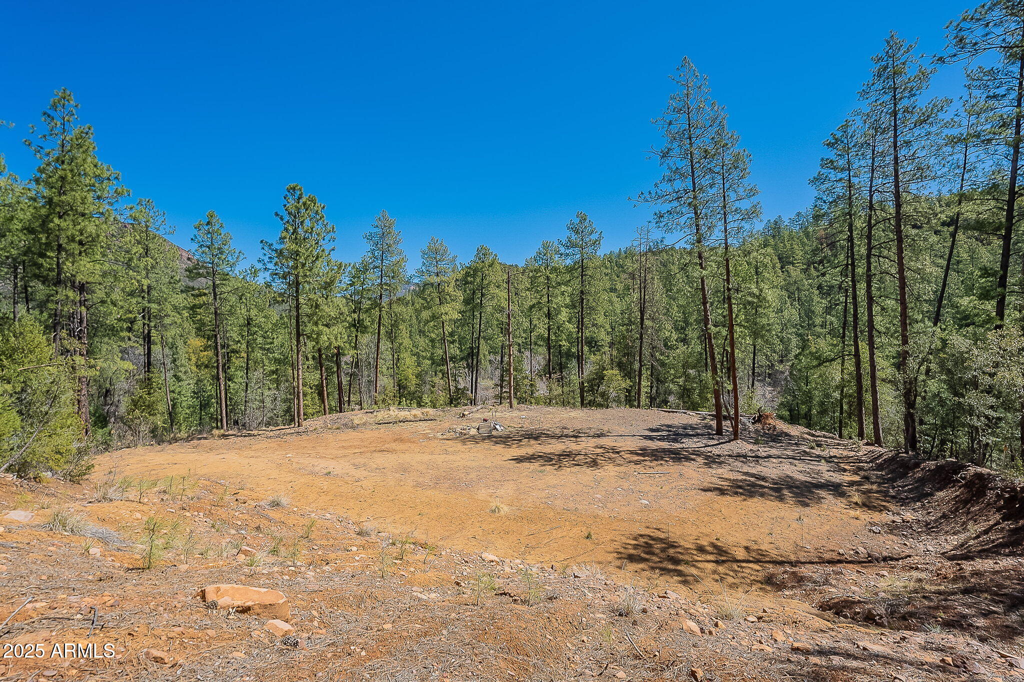 8 Rose Crk Ranch, Unit 8 Young, AZ 85554 - Photo 2 of 55 a view of a yard with trees in the background