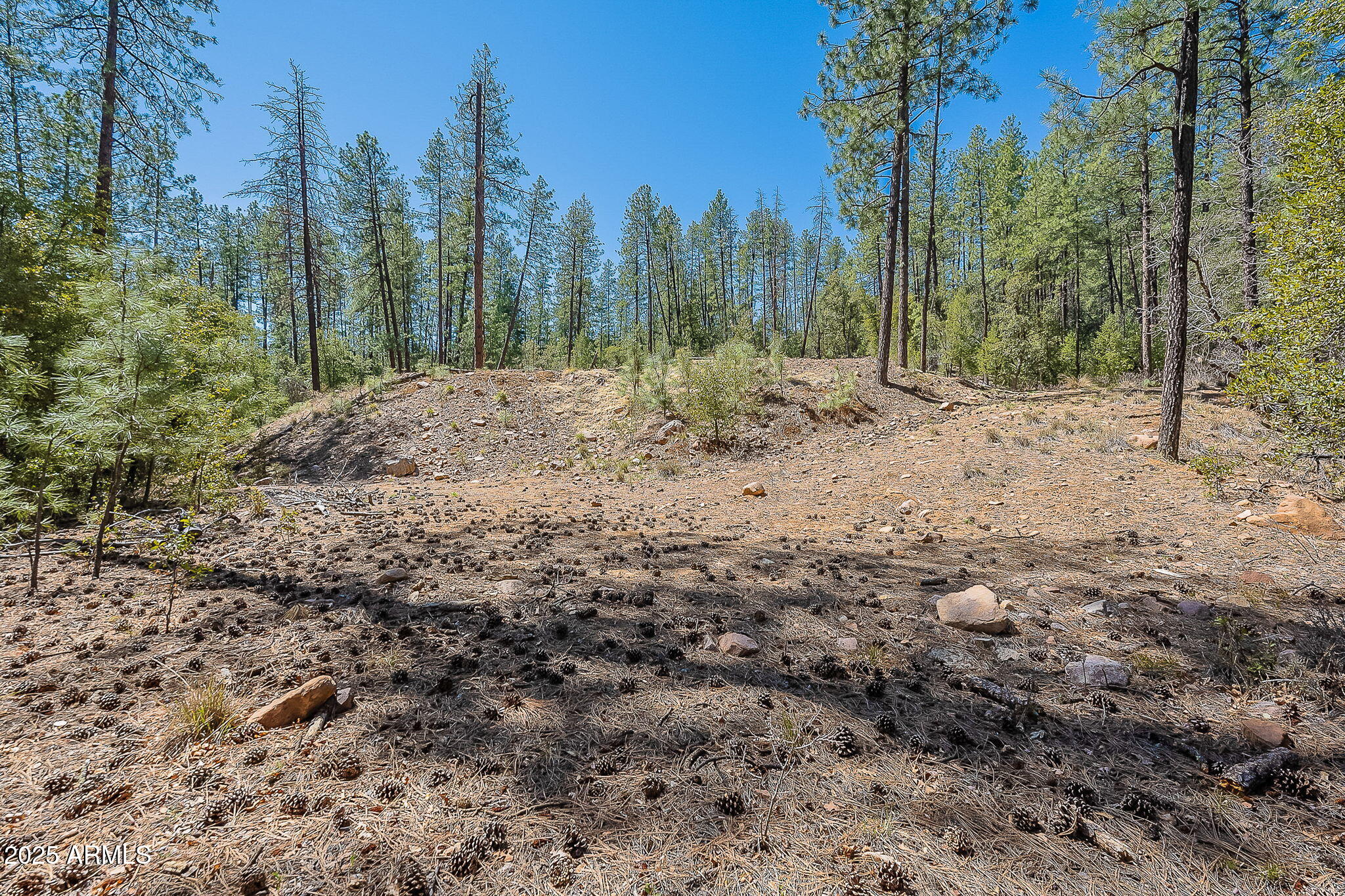 8 Rose Crk Ranch, Unit 8 Young, AZ 85554 - Photo 23 of 55 a view of outdoor space with trees
