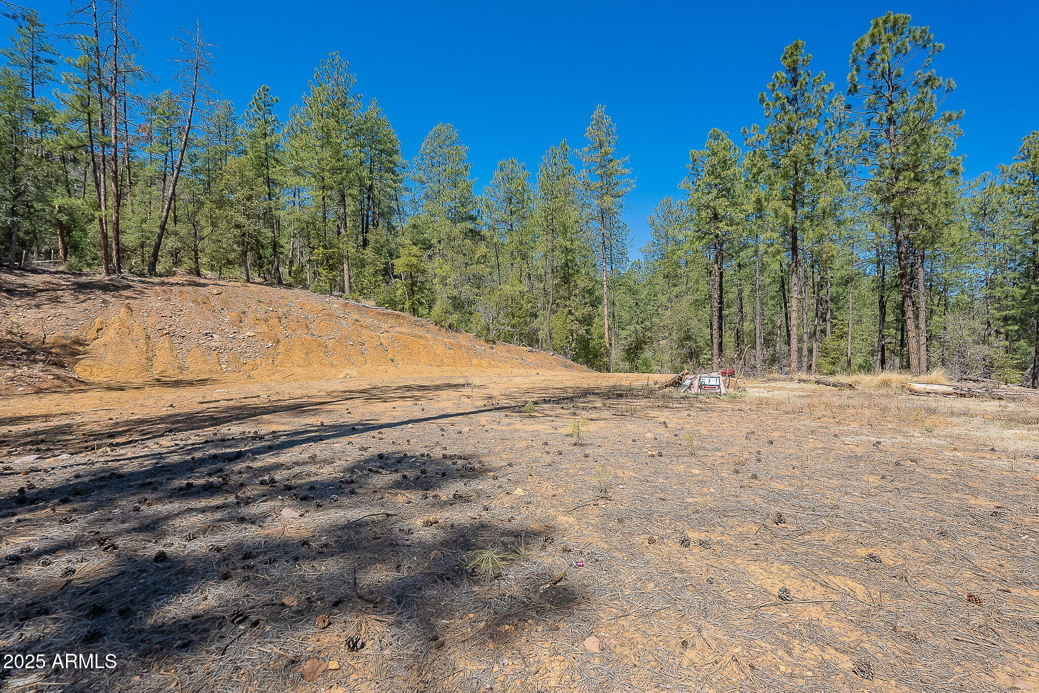 8 Rose Crk Ranch, Unit 8 Young, AZ 85554 - Photo 27 of 55 a view of large space with large trees