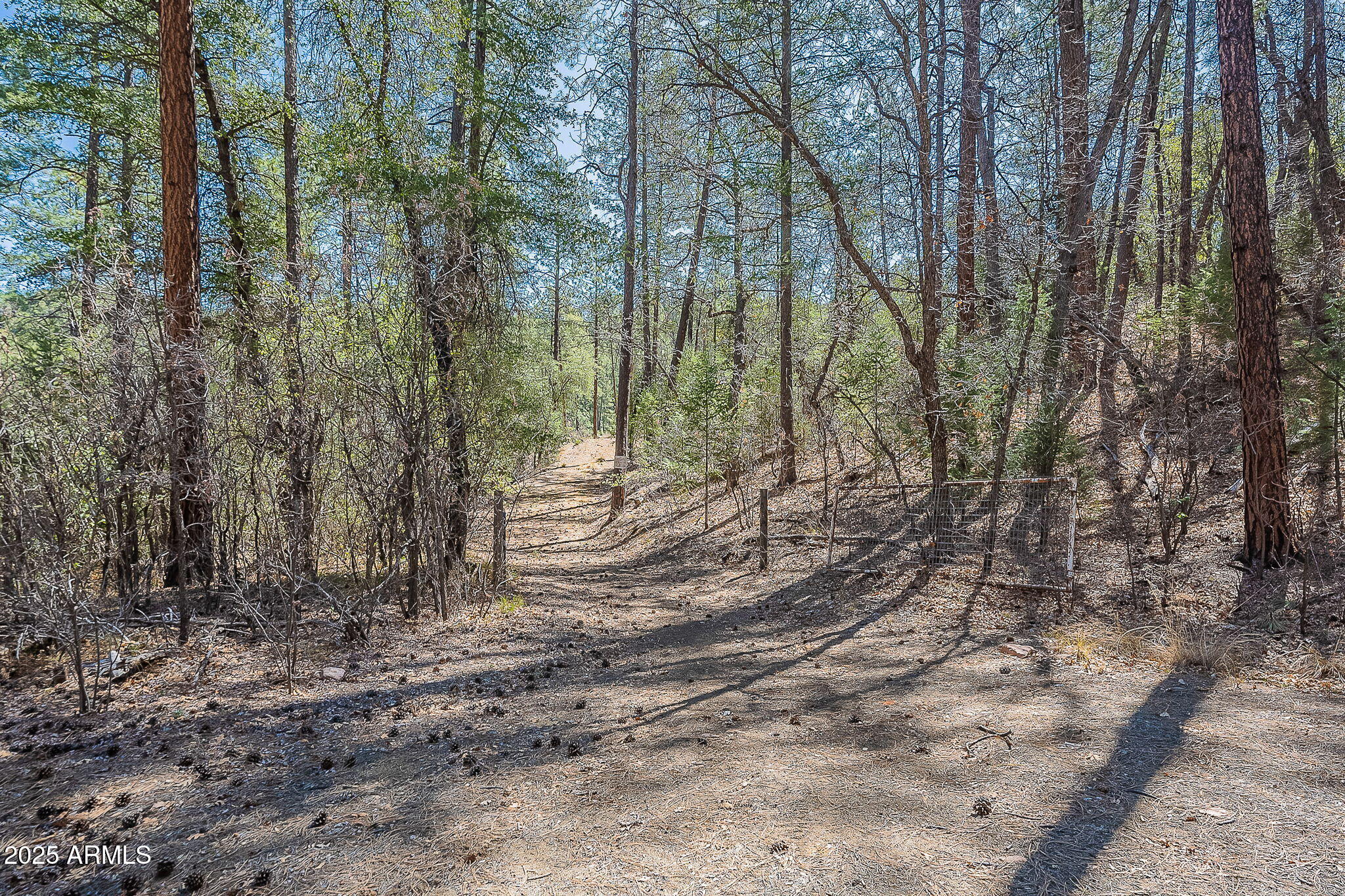 8 Rose Crk Ranch, Unit 8 Young, AZ 85554 - Photo 32 of 55 a view of a yard with trees