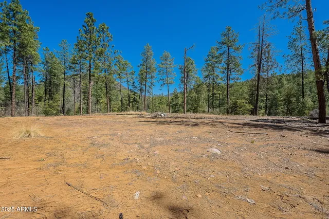 a view of a yard with trees