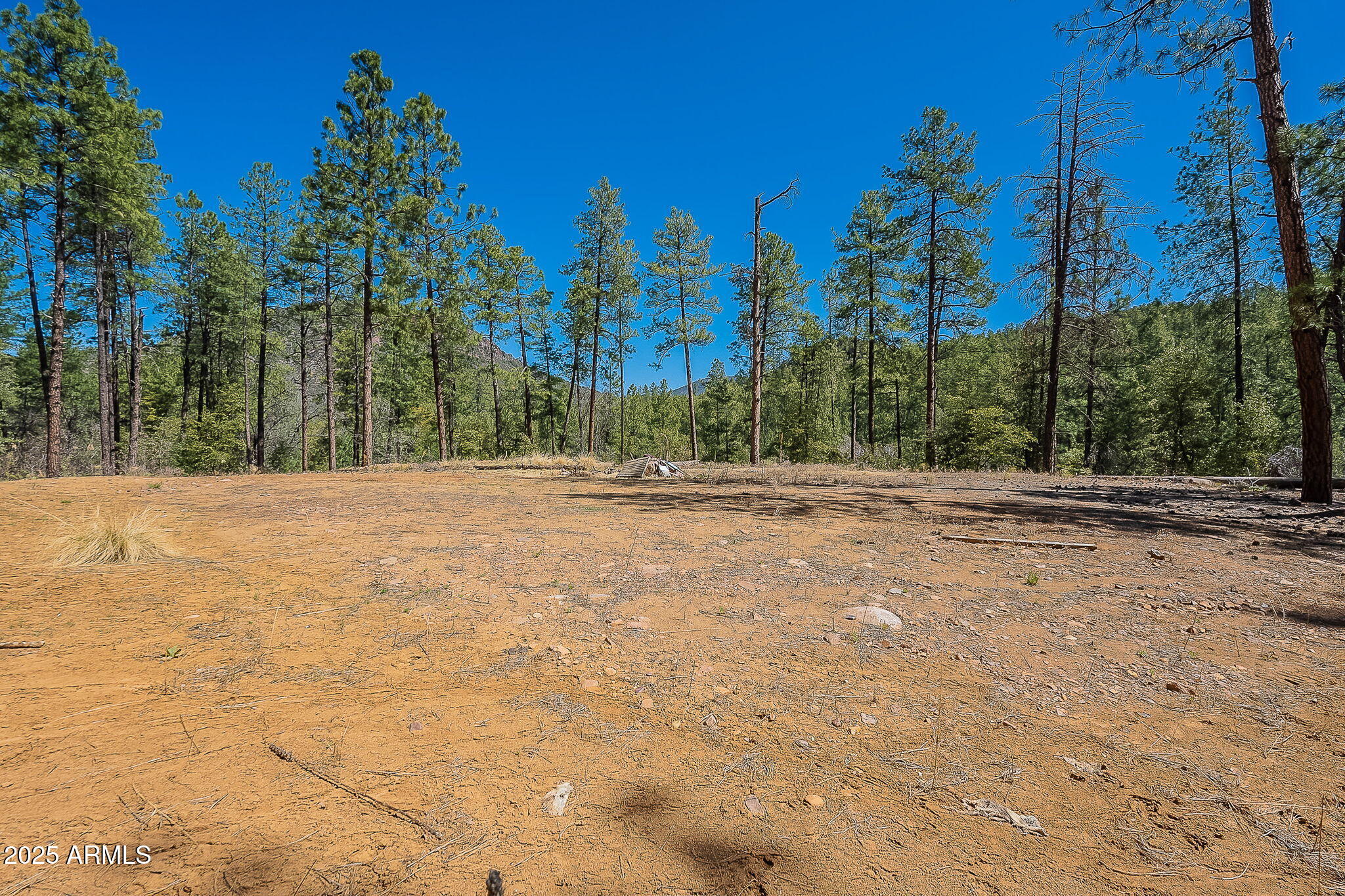 8 Rose Crk Ranch, Unit 8 Young, AZ 85554 - Photo 33 of 55 a backyard of a house with trees
