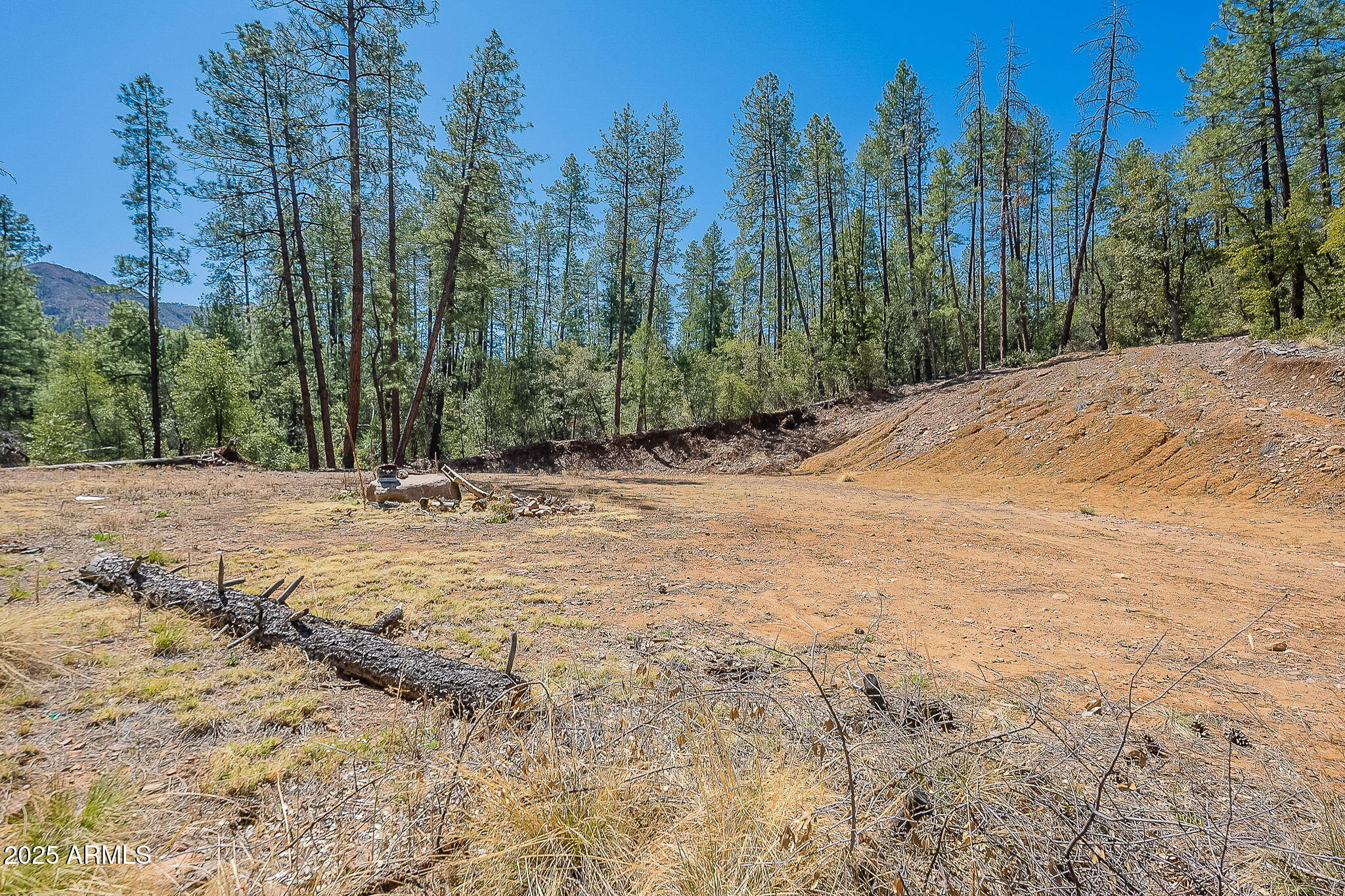 8 Rose Crk Ranch, Unit 8 Young, AZ 85554 - Photo 35 of 55 a view of a backyard of a house