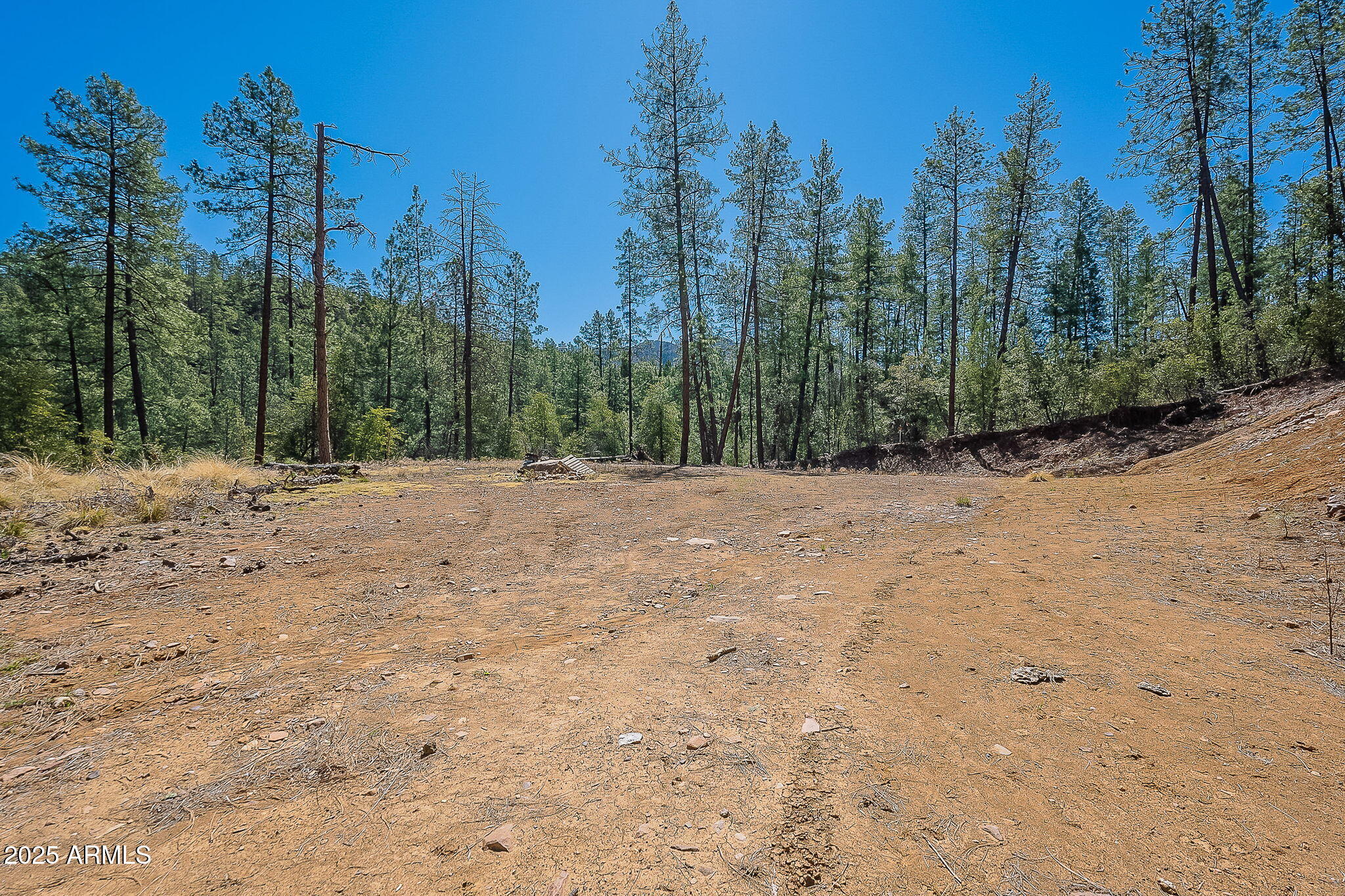 8 Rose Crk Ranch, Unit 8 Young, AZ 85554 - Photo 36 of 55 a view of outdoor space with trees