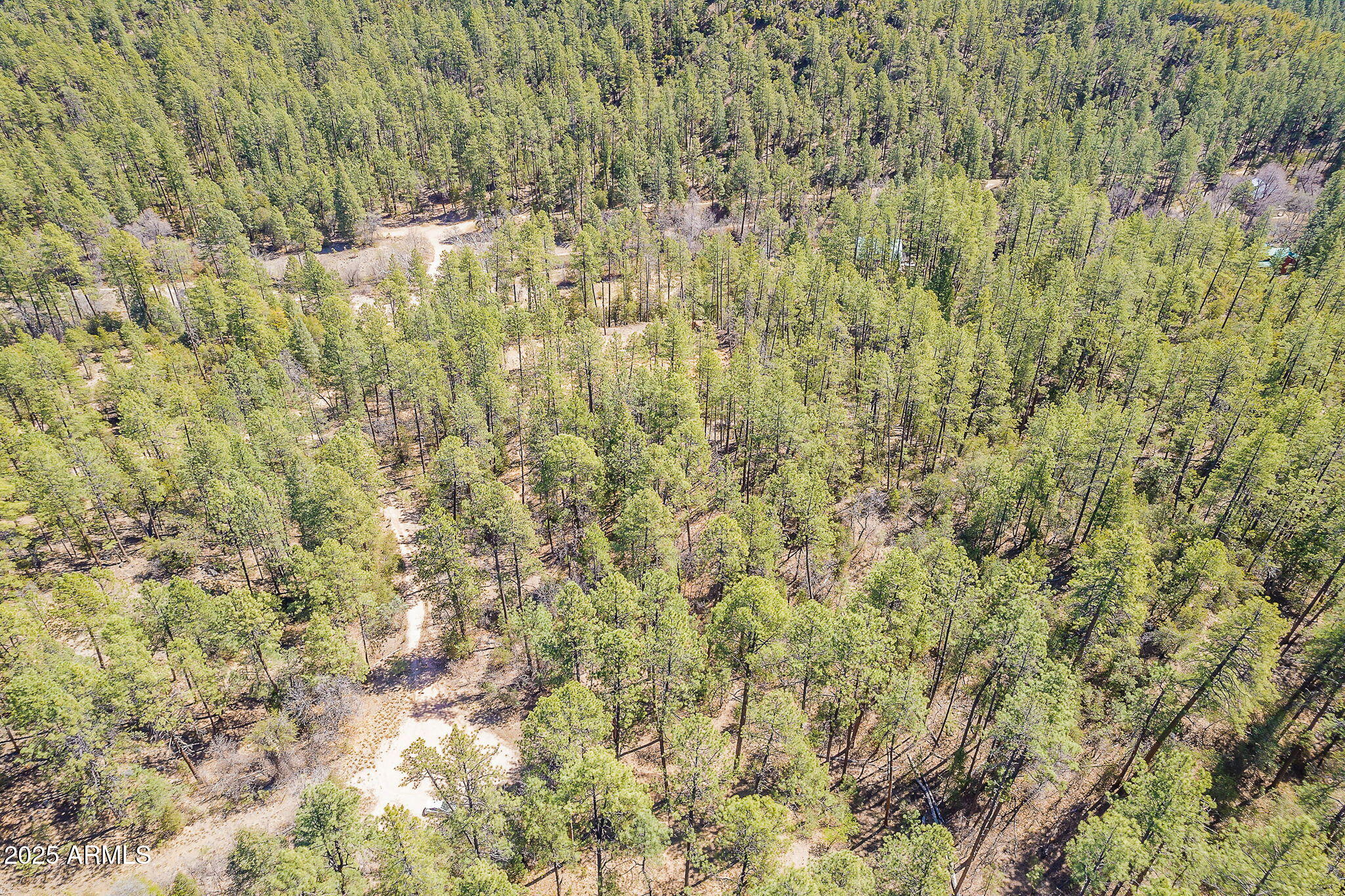 8 Rose Crk Ranch, Unit 8 Young, AZ 85554 - Photo 41 of 55 a close up of a plant