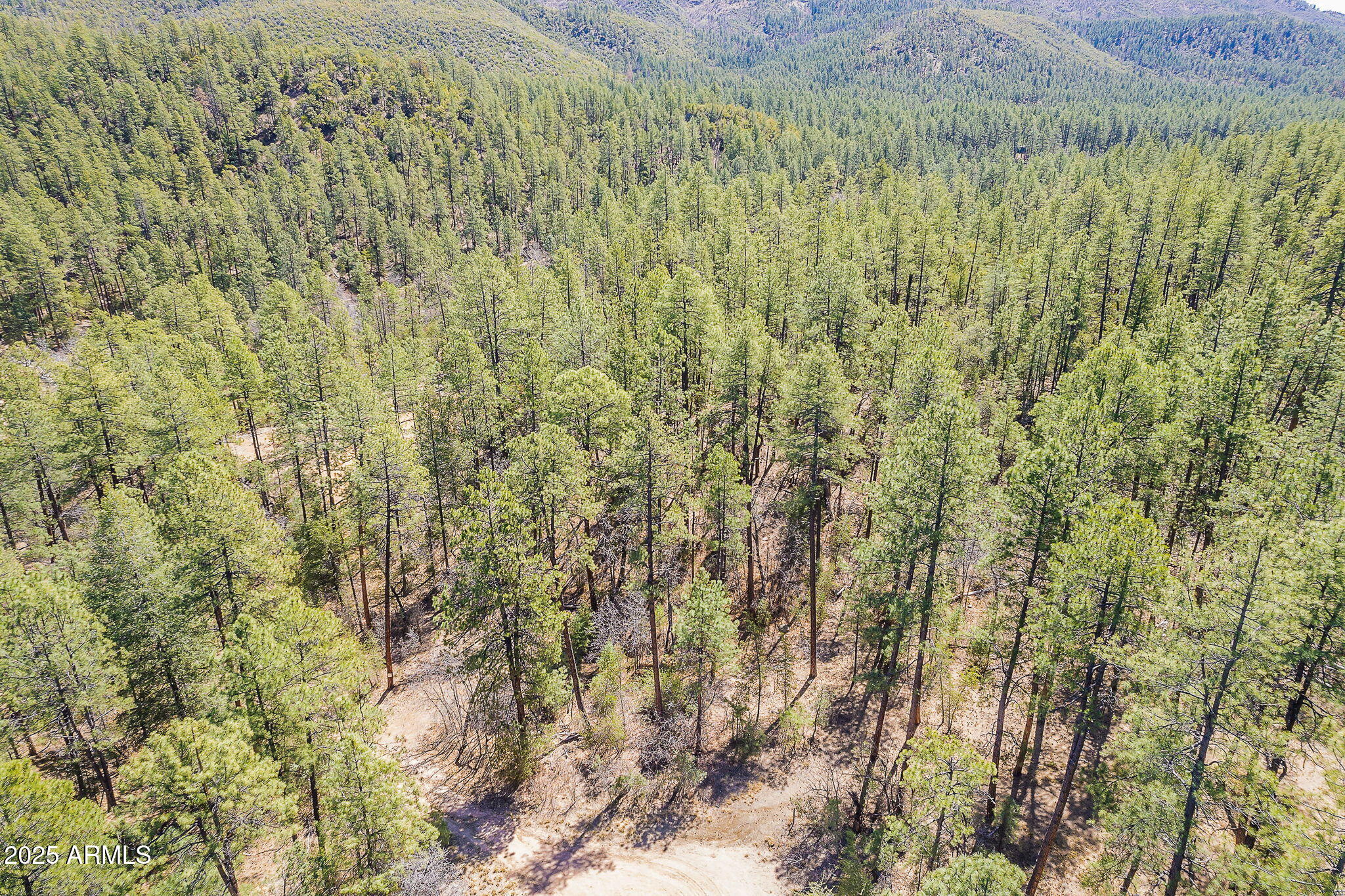 8 Rose Crk Ranch, Unit 8 Young, AZ 85554 - Photo 43 of 55 a view of a yard with a tree