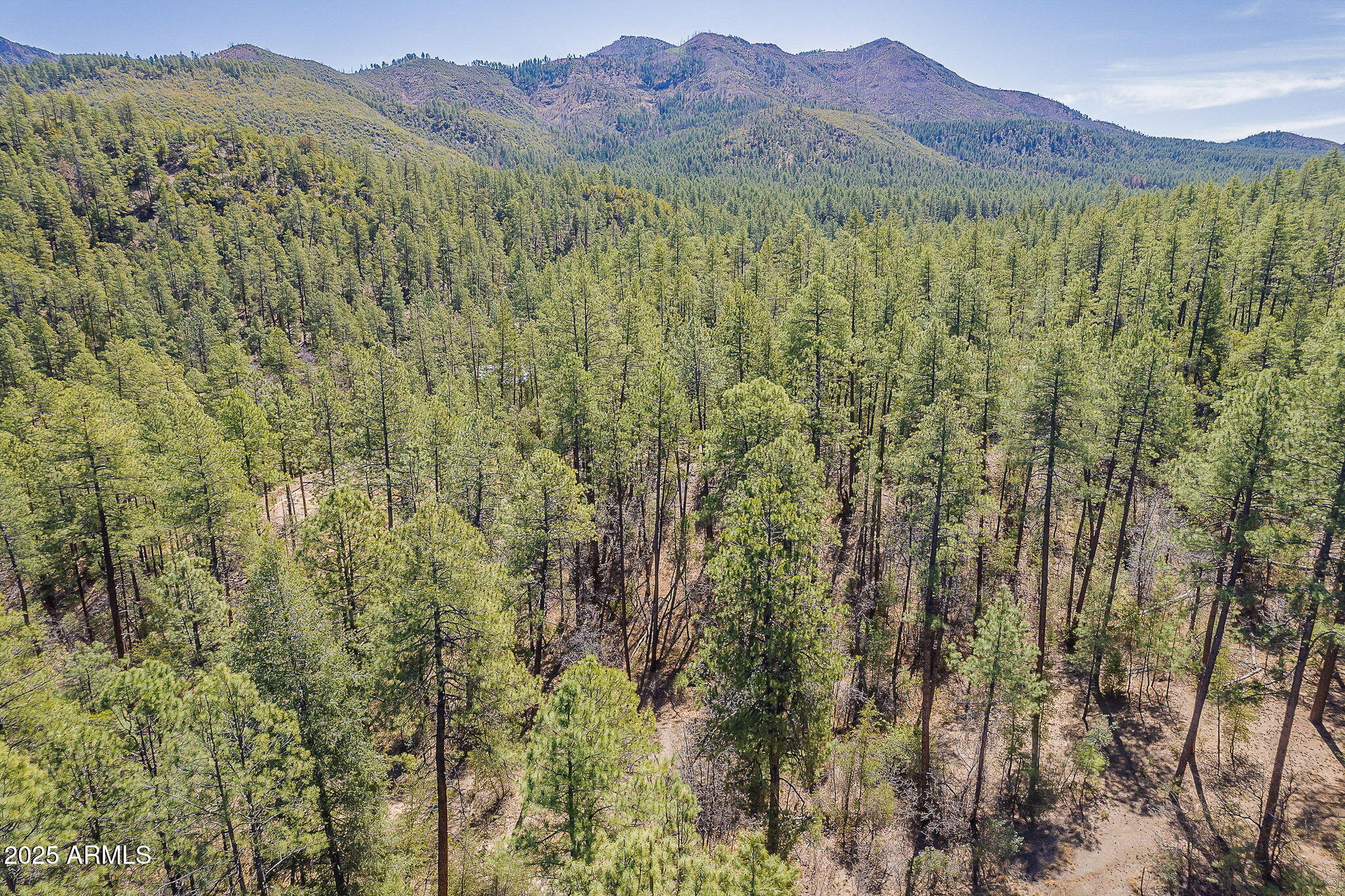 8 Rose Crk Ranch, Unit 8 Young, AZ 85554 - Photo 47 of 55 a view of a lush green hillside and a mountain