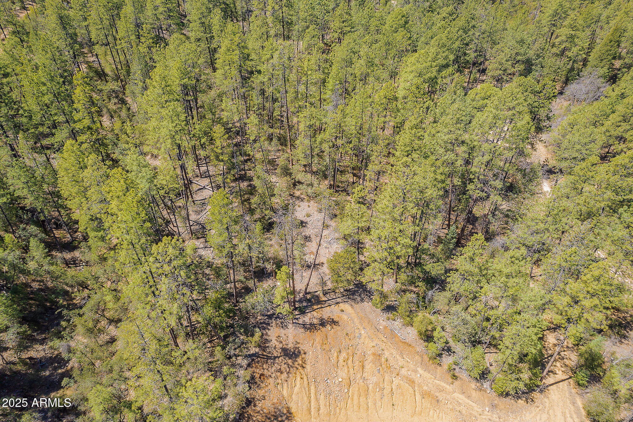8 Rose Crk Ranch, Unit 8 Young, AZ 85554 - Photo 49 of 55 Four Seasons
