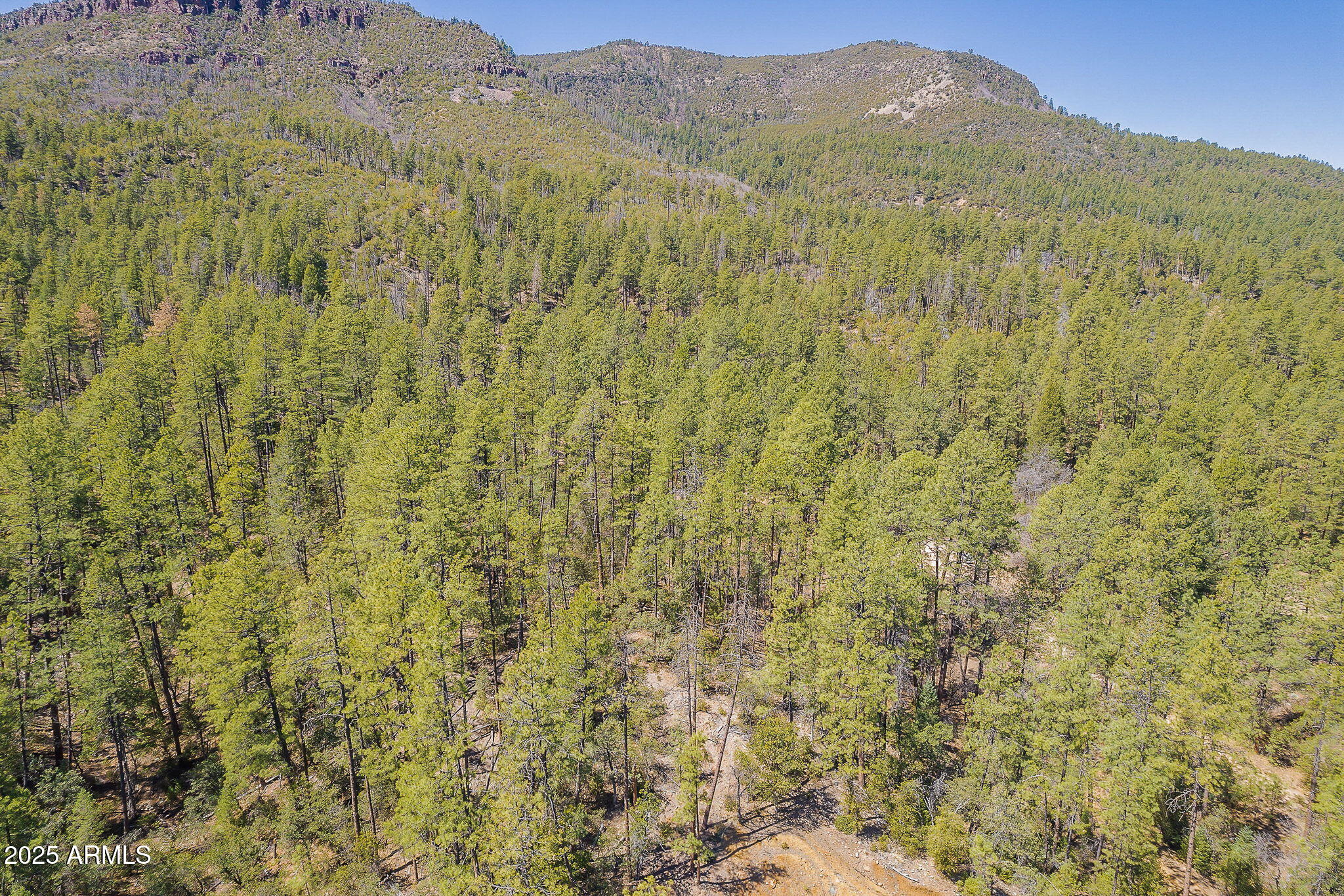 8 Rose Crk Ranch, Unit 8 Young, AZ 85554 - Photo 50 of 55 a view of a lush green field