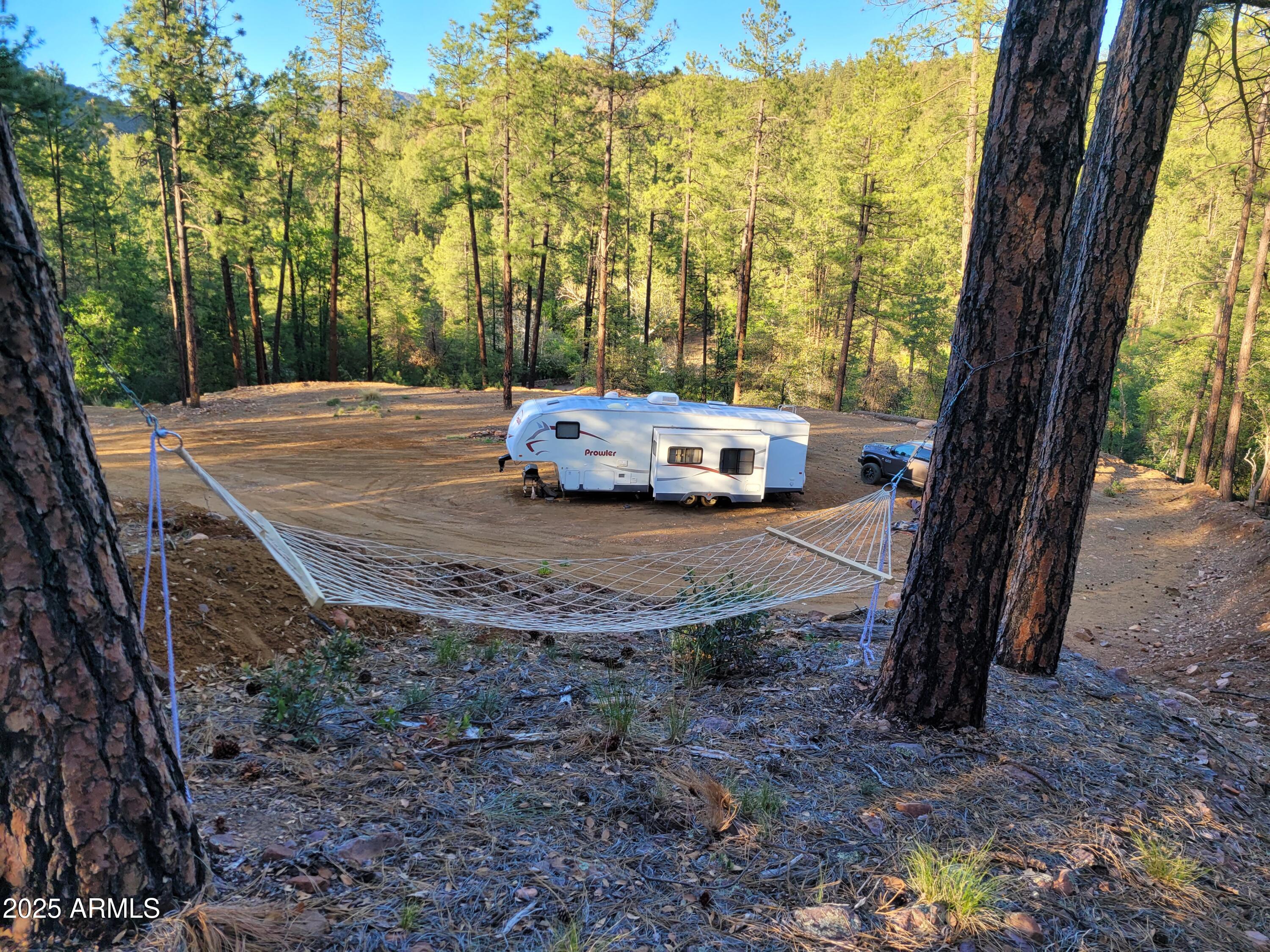 8 Rose Crk Ranch, Unit 8 Young, AZ 85554 - Photo 5 of 55 a view of a yard with large trees