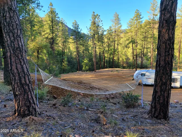 a view of backyard with tree