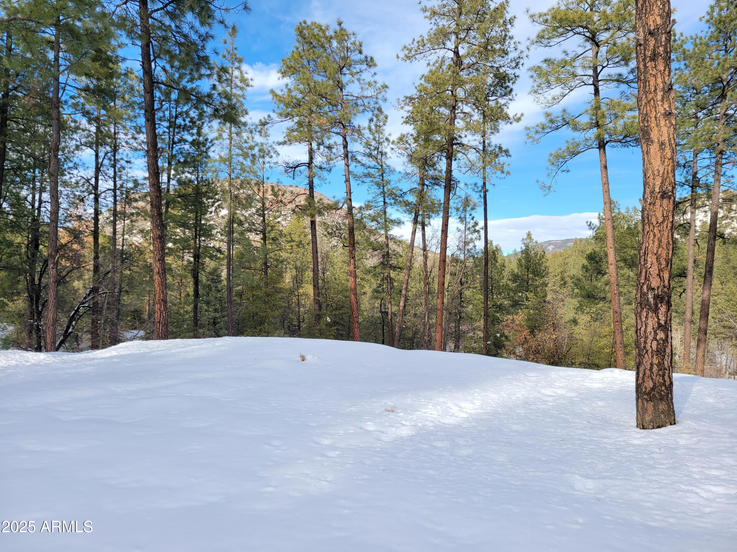 8 Rose Crk Ranch, Unit 8 Young, AZ 85554 - Photo 8 of 55 a view of outdoor space with trees