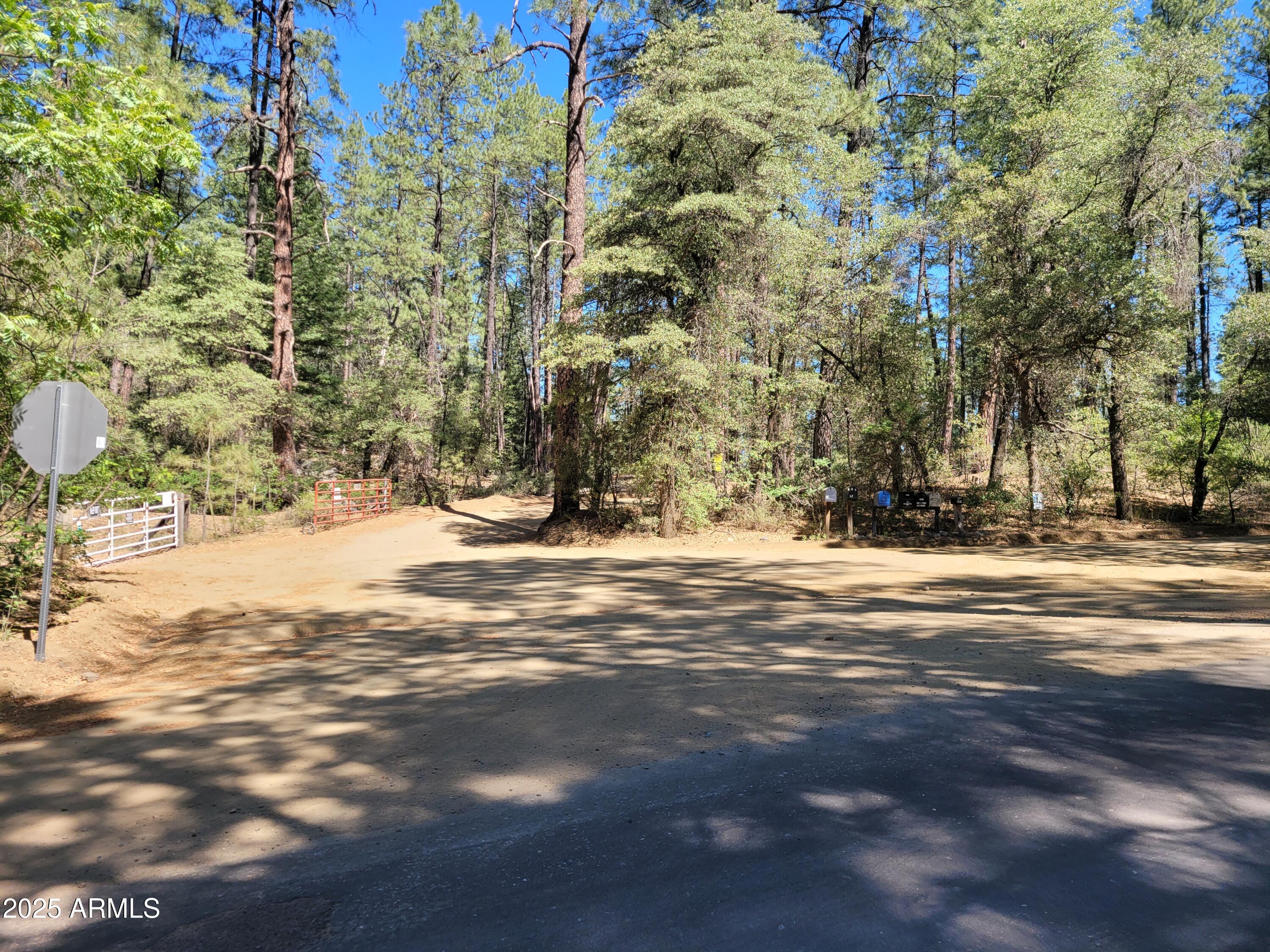 8 Rose Crk Ranch, Unit 8 Young, AZ 85554 - Photo 9 of 55 a view of road with large trees