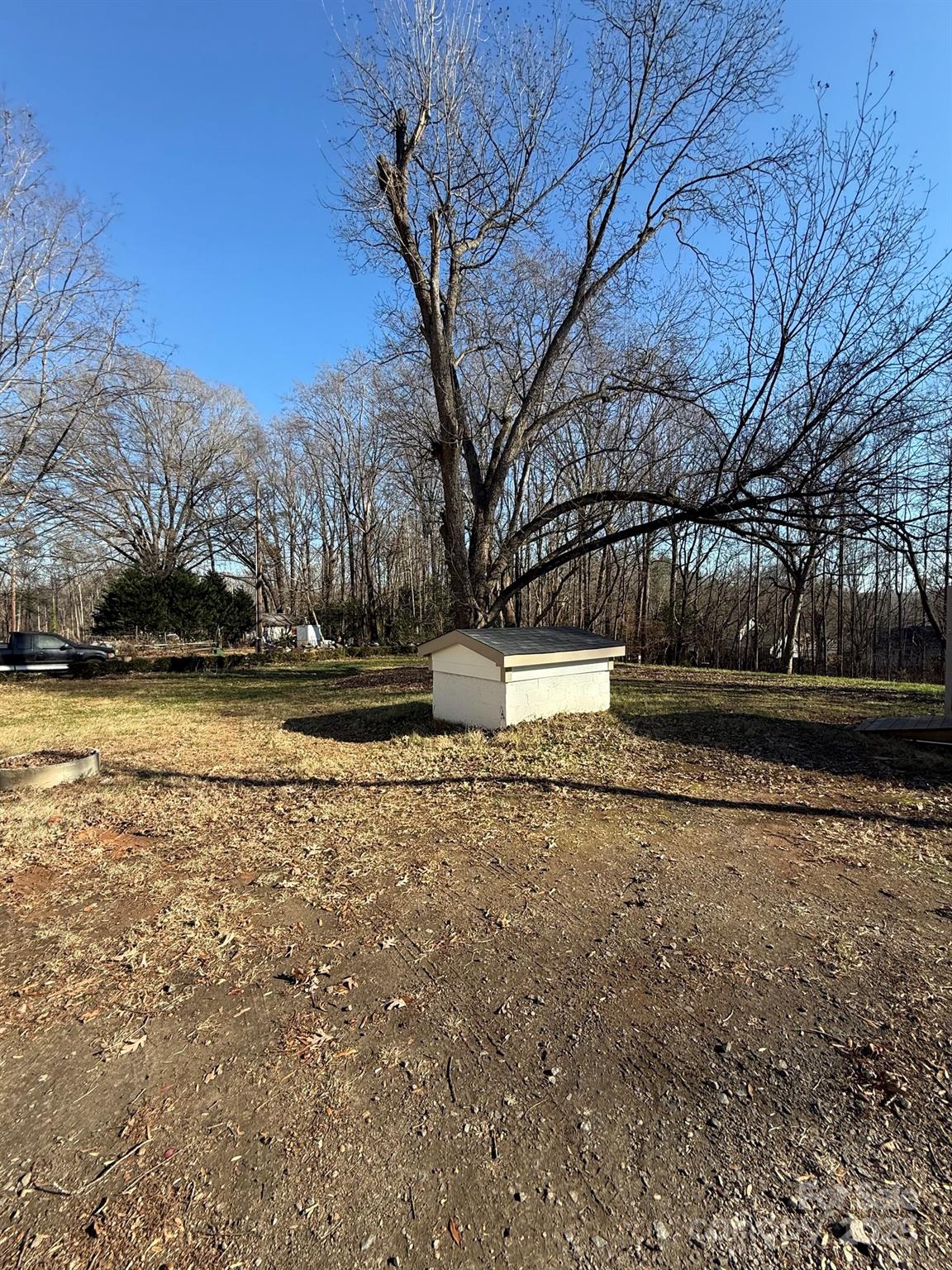 6423 South Tryon Street Charlotte, NC 28217 - Photo 28 of 28 a view of yard with tree in back