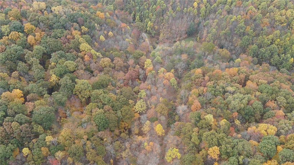 0 Fall Run Road Aleppo, PA 15310 - Photo 12 of 13 a view of a covered with large trees